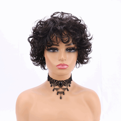 250% Δυσσωματικότητα Pixie Cut Curly Human Hair Wig με υλικό βάσης ελβετικής δαντέλας