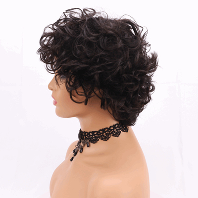 250% Δυσσωματικότητα Pixie Cut Curly Human Hair Wig με υλικό βάσης ελβετικής δαντέλας